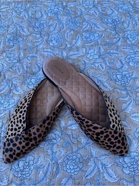Birdies Leopard Print Pointed Flats - Tan & Black